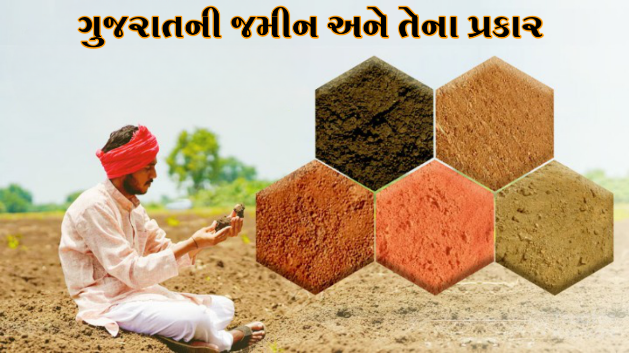 ગુજરાતની જમીન અને તેના પ્રકાર