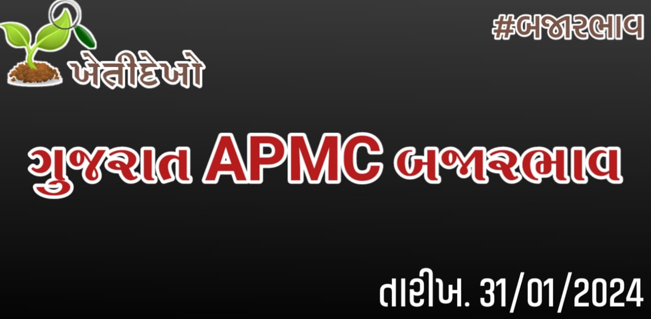 ગુજરાત માર્કેટયાર્ડ (APMC) બજારભાવ