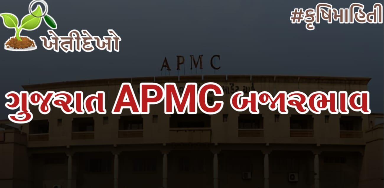 ગુજરાત માર્કેટયાર્ડ (APMC) બજારભાવ
