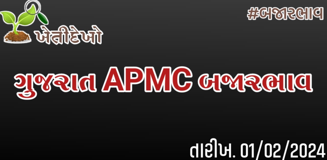 ગુજરાત માર્કેટયાર્ડ (APMC) બજારભાવ