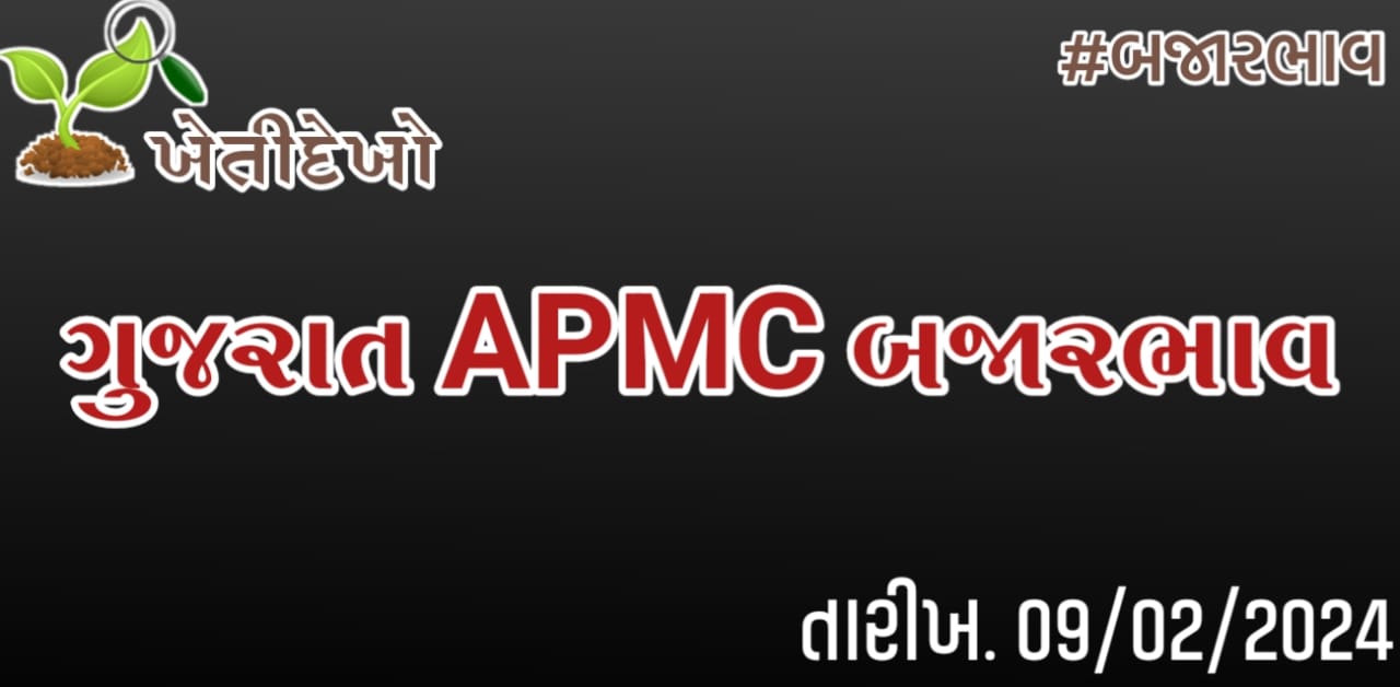 ગુજરાત માર્કેટયાર્ડ (APMC) બજારભાવ 09.02.2024