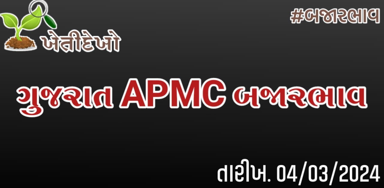 ગુજરાત માર્કેટયાર્ડ (APMC) બજારભાવ 04.03.2024