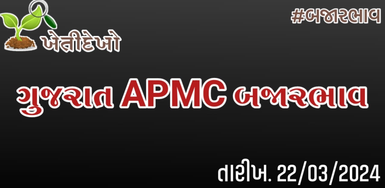 ગુજરાત માર્કેટયાર્ડ (APMC) બજારભાવ 22.03.2024