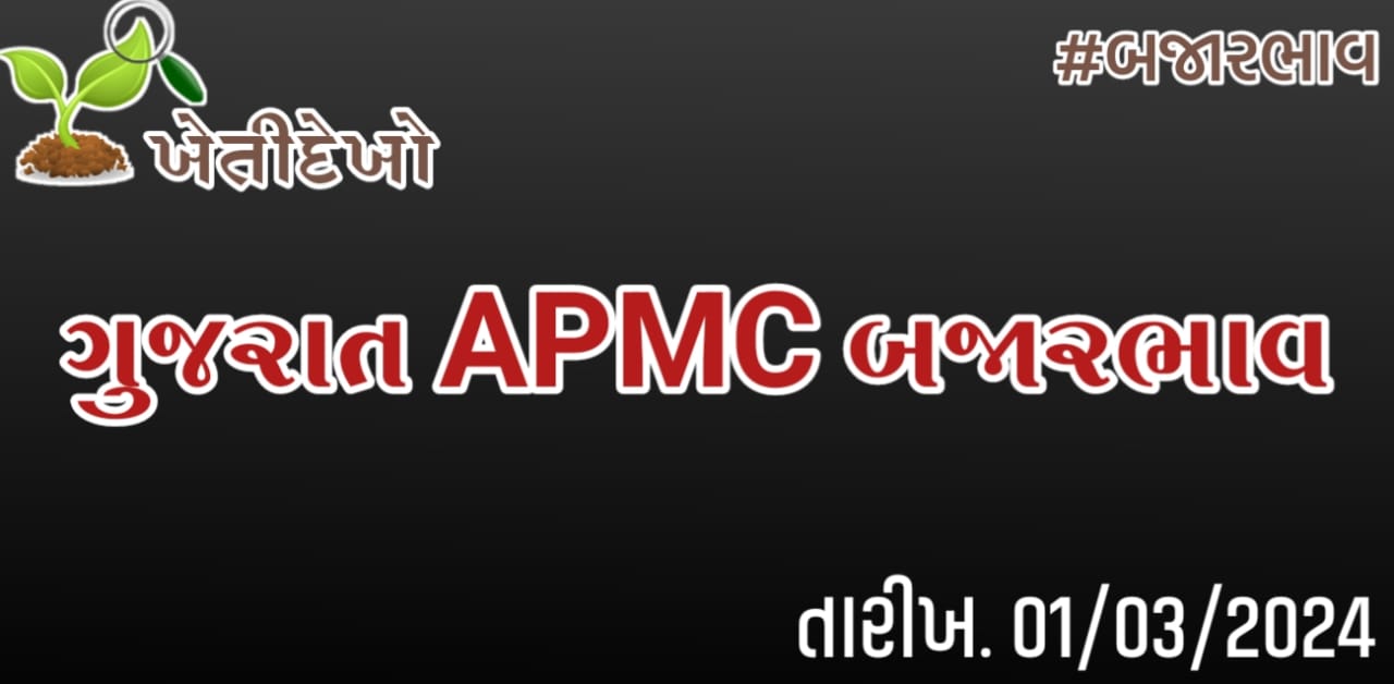 ગુજરાત માર્કેટયાર્ડ (APMC) બજારભાવ 01.03.2024