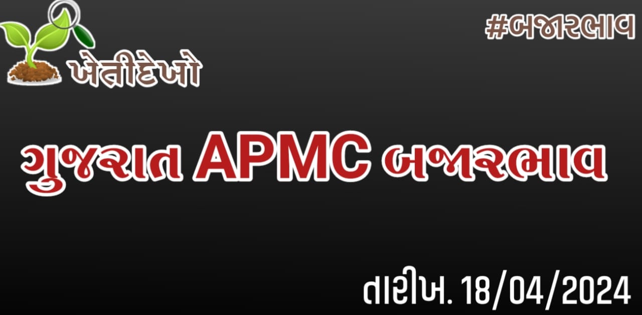 બજારભાવ Gujarat APMC Bajarbhav 18.04.24