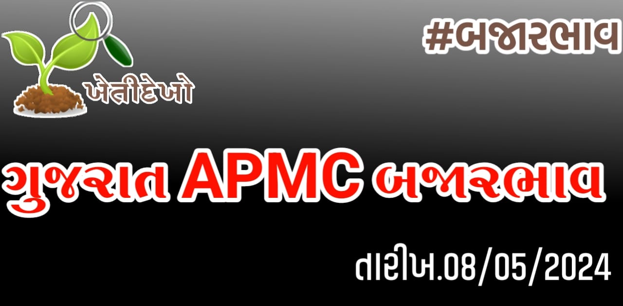 બજારભાવ Gujarat APMC Bajarbhav 08.05.24