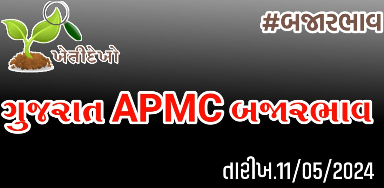 બજારભાવ Gujarat APMC Bajarbhav 11.05.24