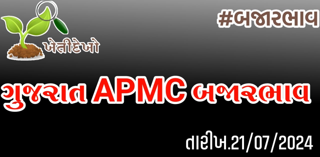 બજારભાવ Gujarat APMC Bajarbhav 21.07.24