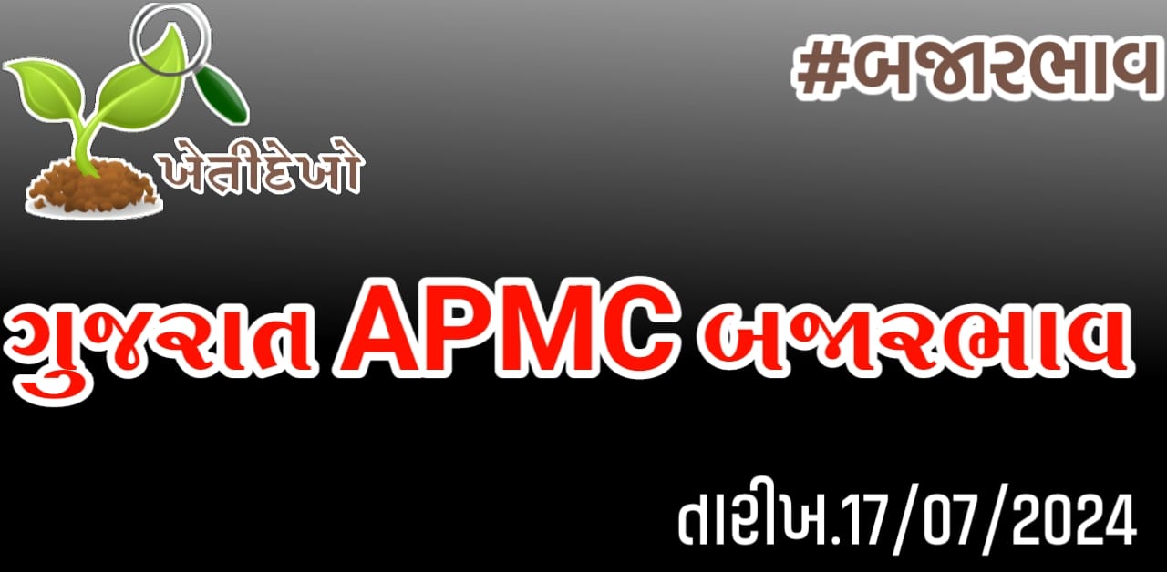 બજારભાવ Gujarat APMC Bajarbhav 17.07.24