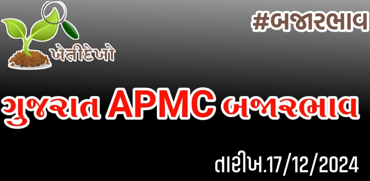 બજારભાવ Gujarat APMC Bajarbhav 17.12.24